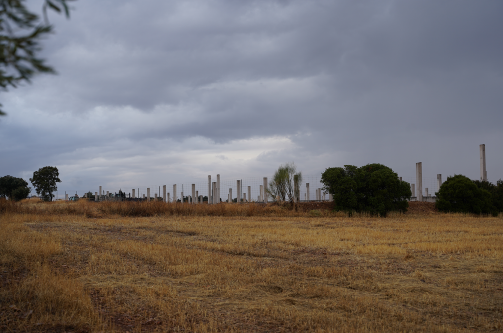 Estado de las obras de la macrogranja de 7200 cerdos que están construyendo en Retamoso de la Jara (30/09/2024)